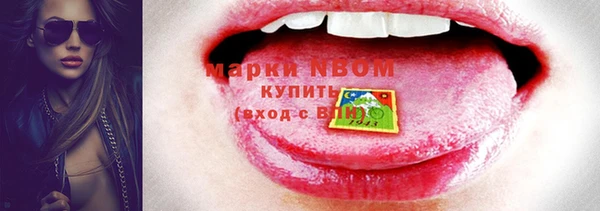 прущий лед Новозыбков