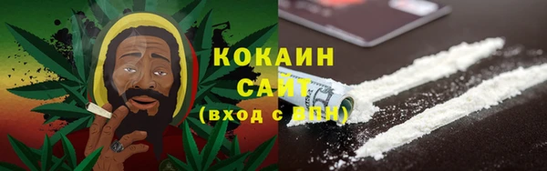 прущий лед Новозыбков
