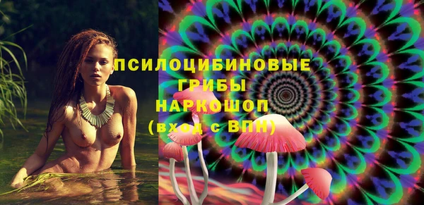 прущий лед Новозыбков