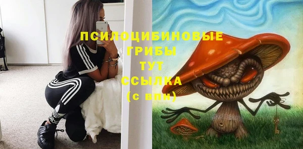 прущий лед Новозыбков