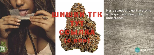прущий лед Новозыбков
