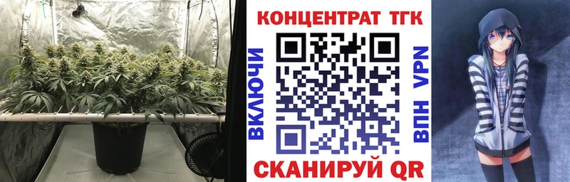 omg онион  Курлово  ТГК гашишное масло 
